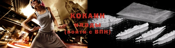 хмурый Новозыбков