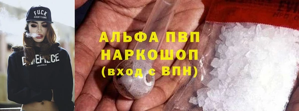 хмурый Новозыбков