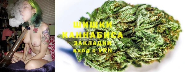 мет Няндома