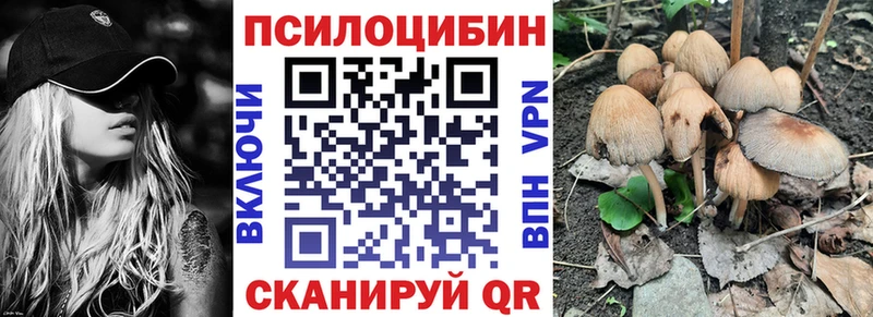 Псилоцибиновые грибы Psilocybe  мега онион  Ржев 