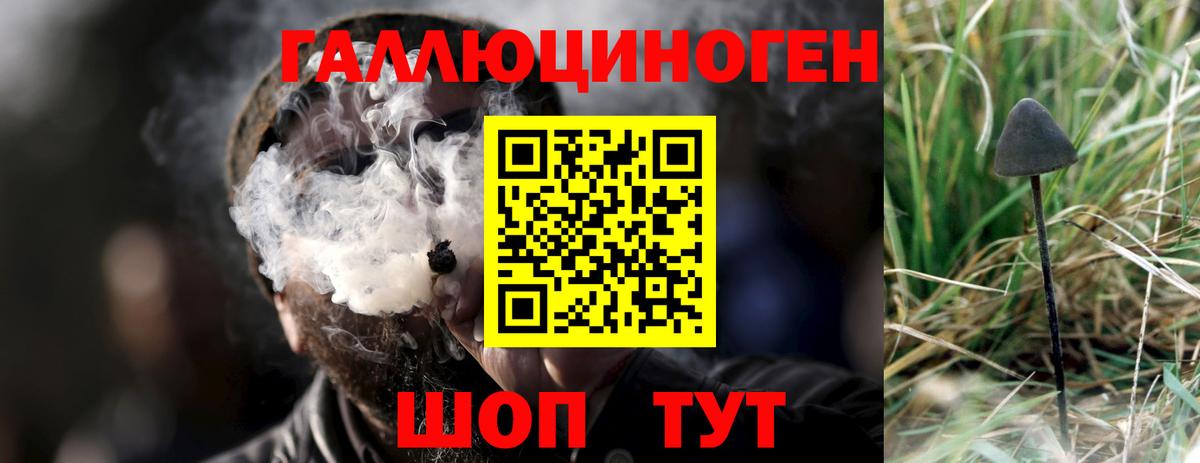 Ржев  Галлюциногенные грибы Magic Shrooms  Вход с VPN  Галлюциногенные грибы MAGIC MUSHROOMS 