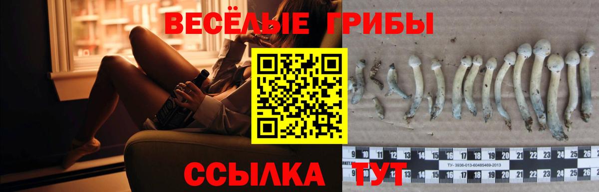 Псилоцибиновые грибы MAGIC MUSHROOMS Ржев